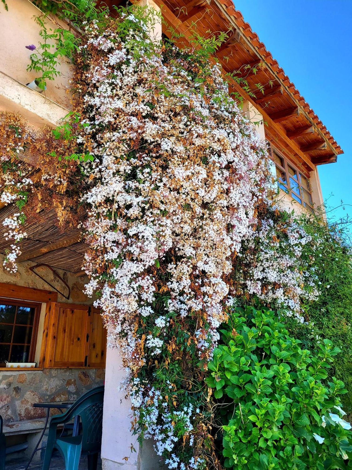 Casa Rural Balcón del Camino Viejo Valencia de Alcántara Exterior foto